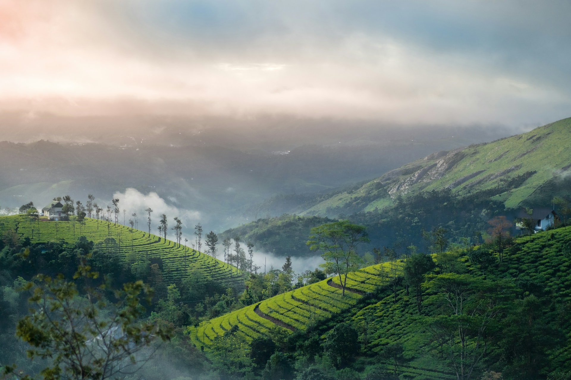 India landscape